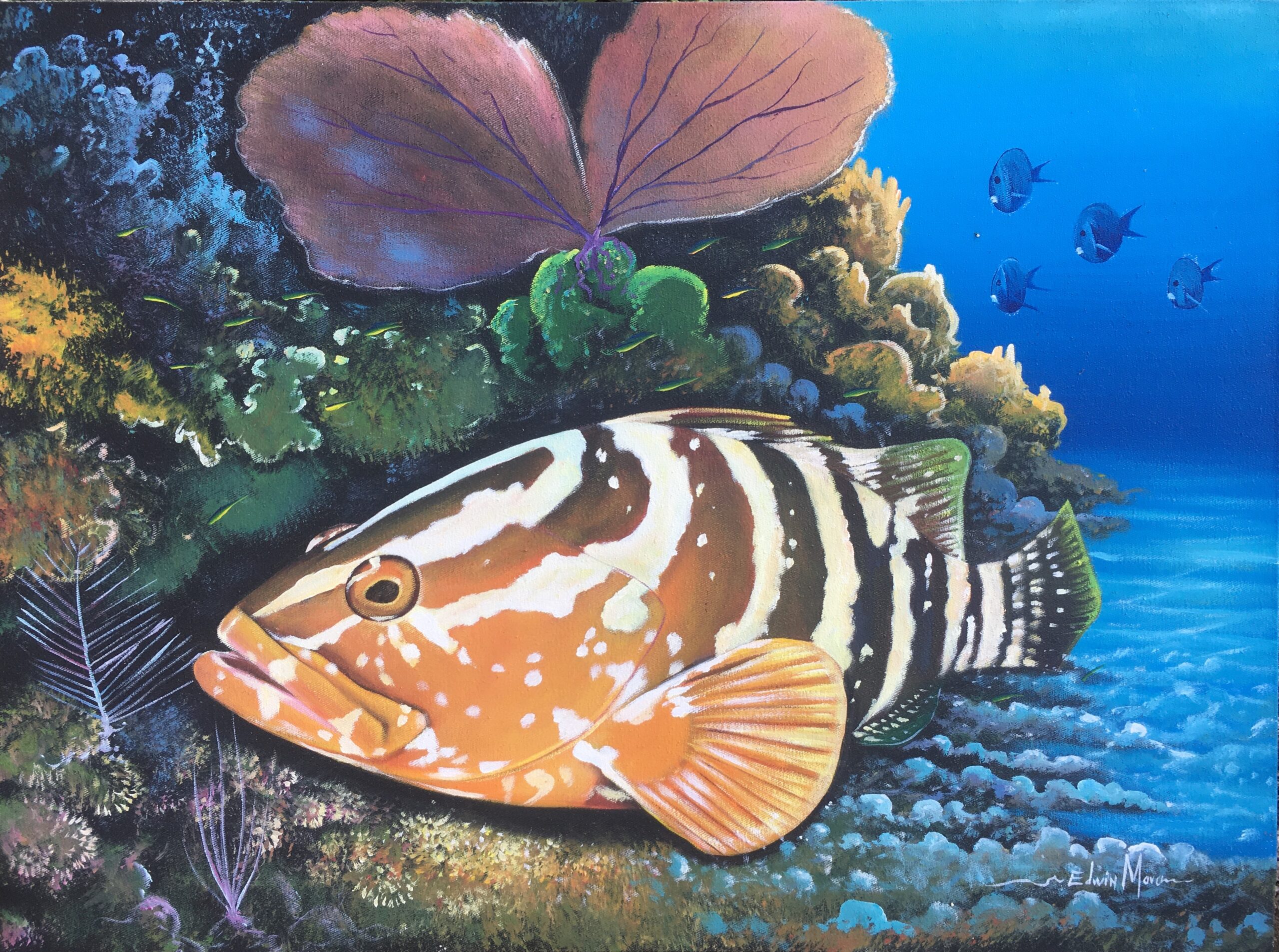painting of grouper